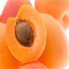 زردآلو ( Apricot )