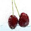 گیلاس (Cherry)